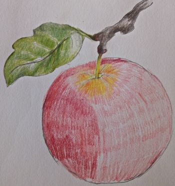 Jak realistycznie rysować jabłko