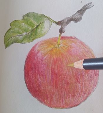 Rysunek jabłka
