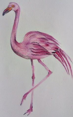 jak narysować flaminga